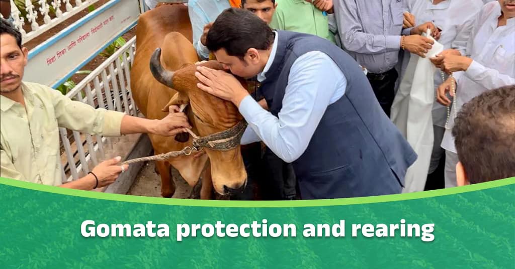 Devendra Fadnavis's cow protection initiatives
